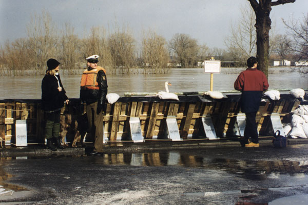 Police officer and residents standing beside Geodesign flood barriers protecting Rodenkirchen, Cologne, during the February 1999 Rhine flood.
